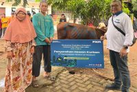 Usia boleh 26 tahun, tapi semangat berbagi PNM selalu muda. Penyaluran kurban di Bantar Gebang jadi bukti nyata: syukur itu paling indah saat dibagikan.